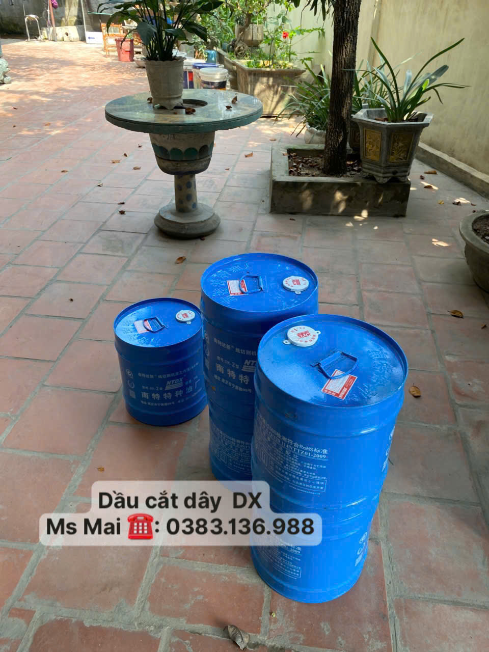 z7611920338695_ac8e03c260315e40bf433b66673266b1